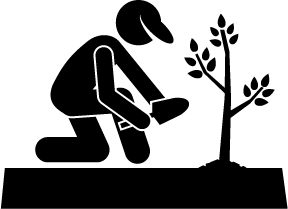 Planting